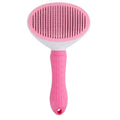 Pet Comb Hair Remover